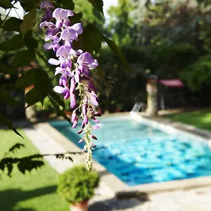 Park Palace Otel